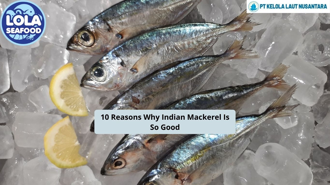 10 Reasons Why Indian Mackerel Is So Good